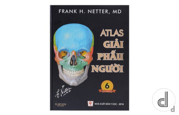 Review Sách Atlas Giải Phẫu Người: Sách y học chuyên sâu